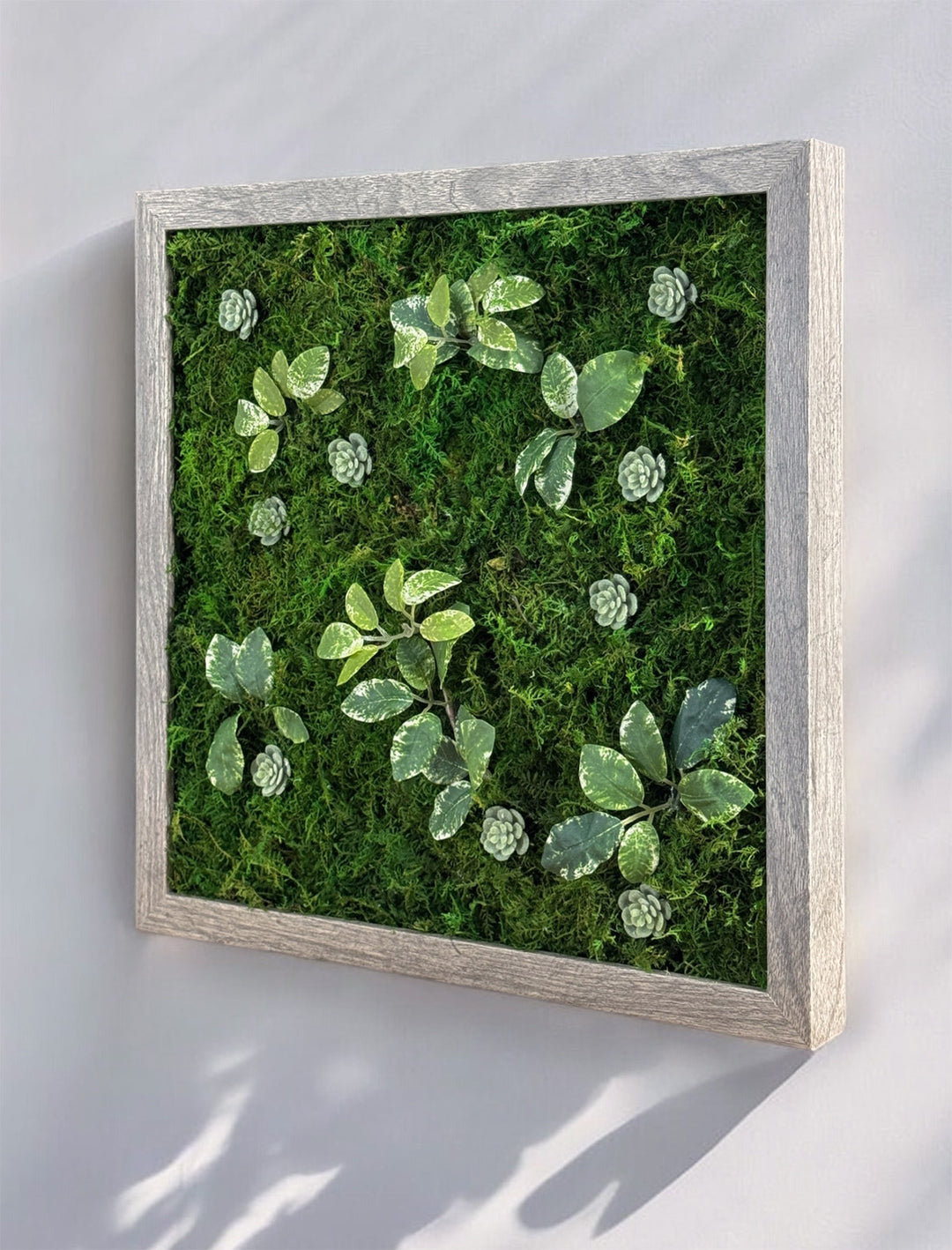 Preserved Moss Miniature Wall Art within Reach