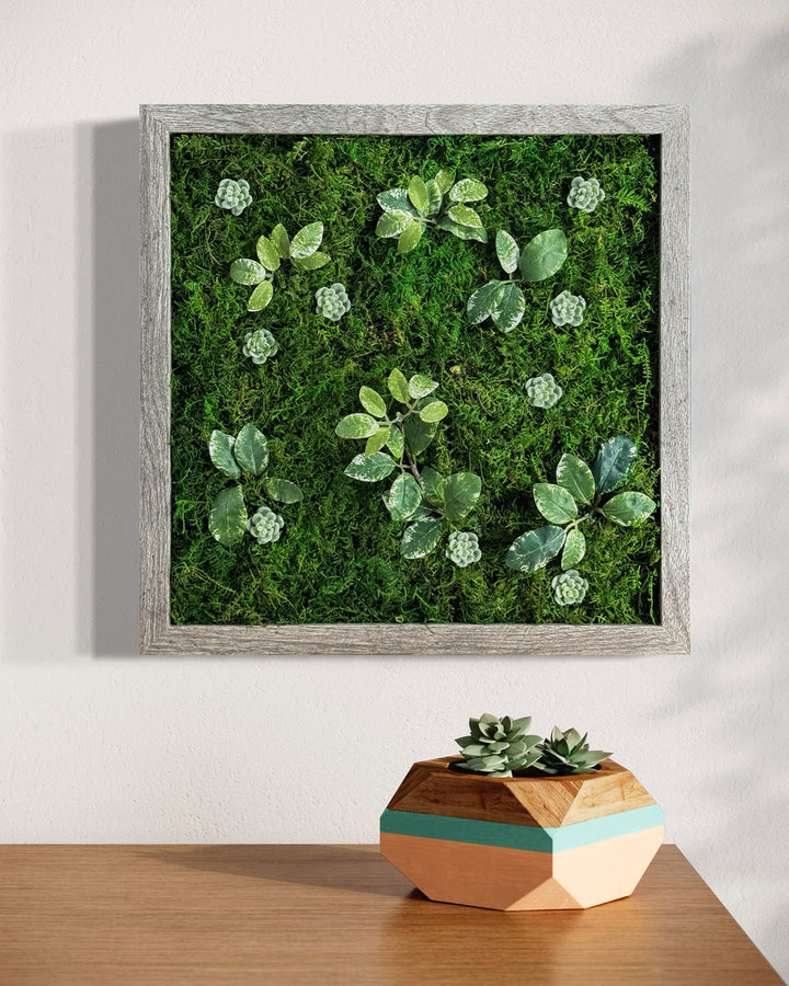 Preserved Moss Miniature Wall Art within Reach