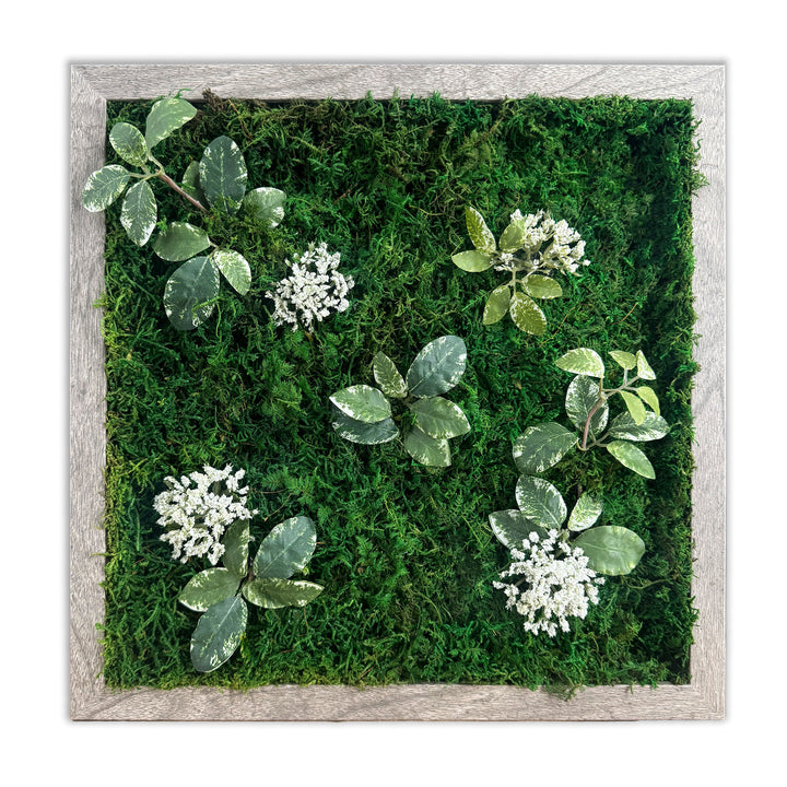 Preserved Moss Miniature Wall Art within Reach