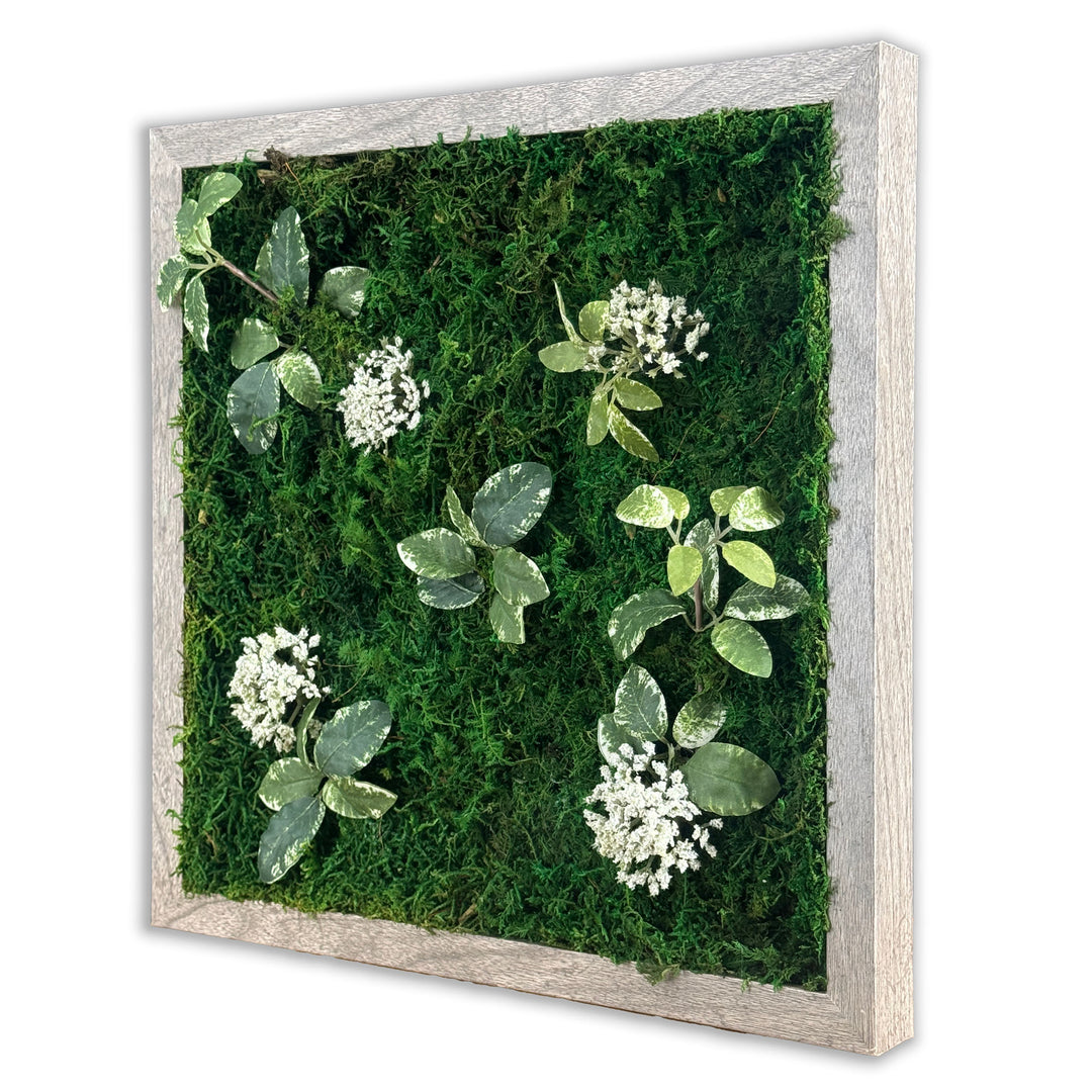 Preserved Moss Miniature Wall Art within Reach