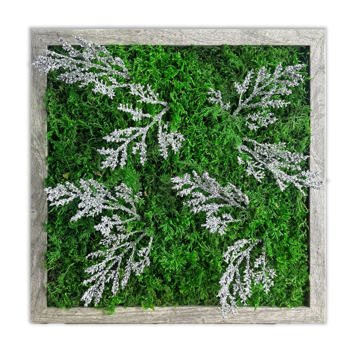 Preserved Moss Miniature Wall Art within Reach