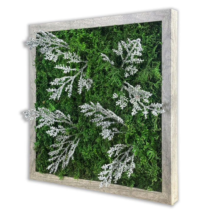 Preserved Moss Miniature Wall Art within Reach