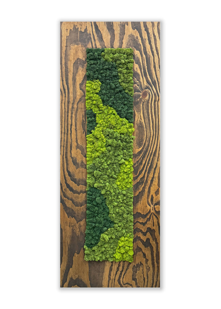 Finished Wood Moss Wall Decor