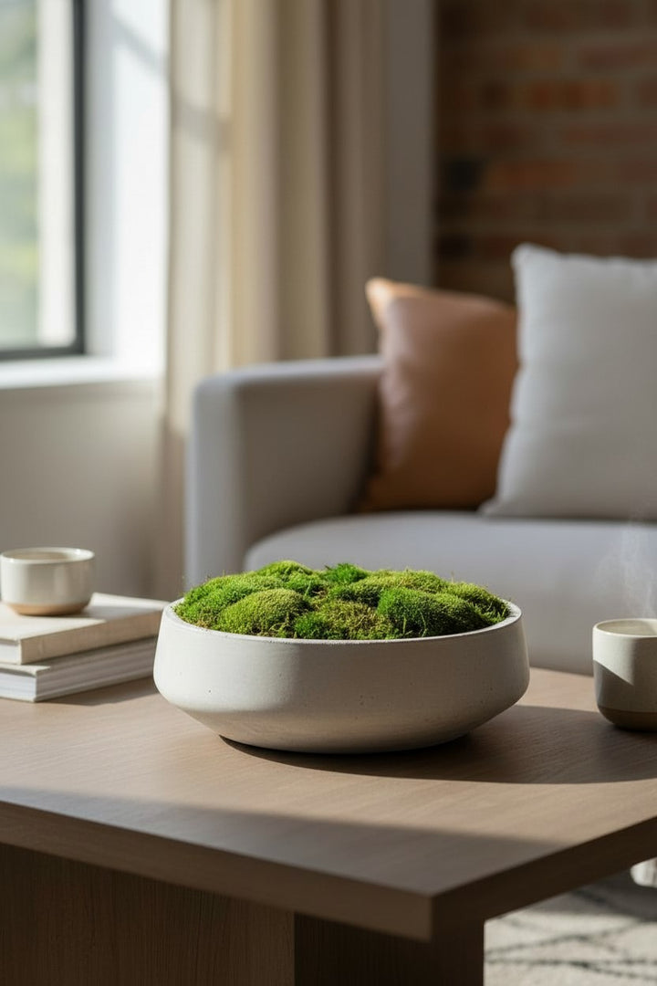 Preserved Moss in Large Round Concrete Bowl