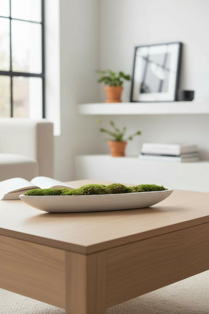 Preserved Moss in Concrete Boat Centerpiece