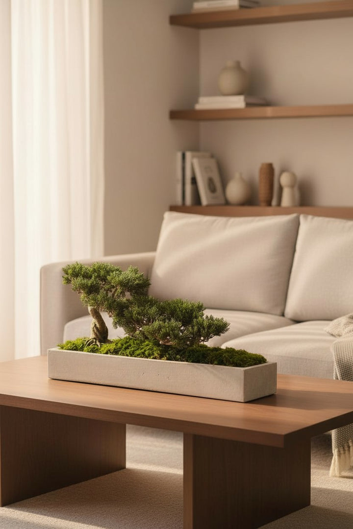 Faux Bonsai Tree in Concrete Planter with Preserved Moss