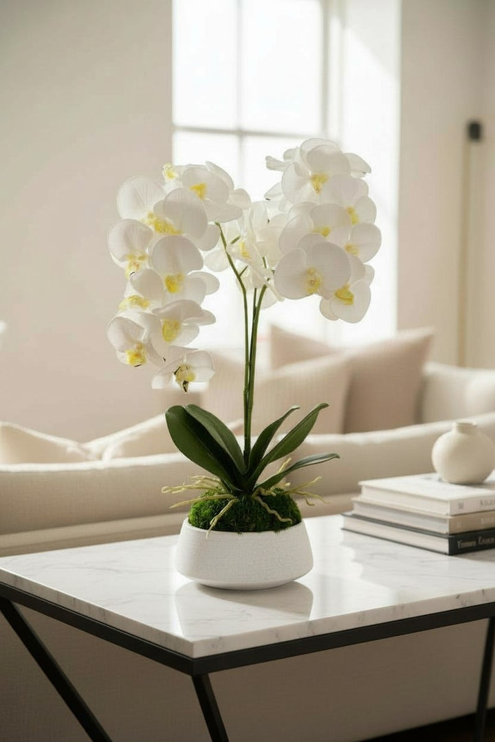 Orchid and Moss Centerpiece in Cement Bowl