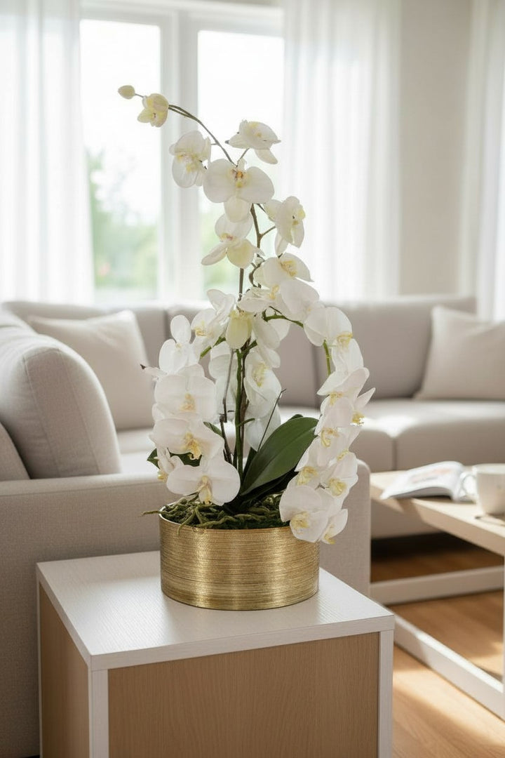 Orchid & Moss Arrangement in Silver Bowl