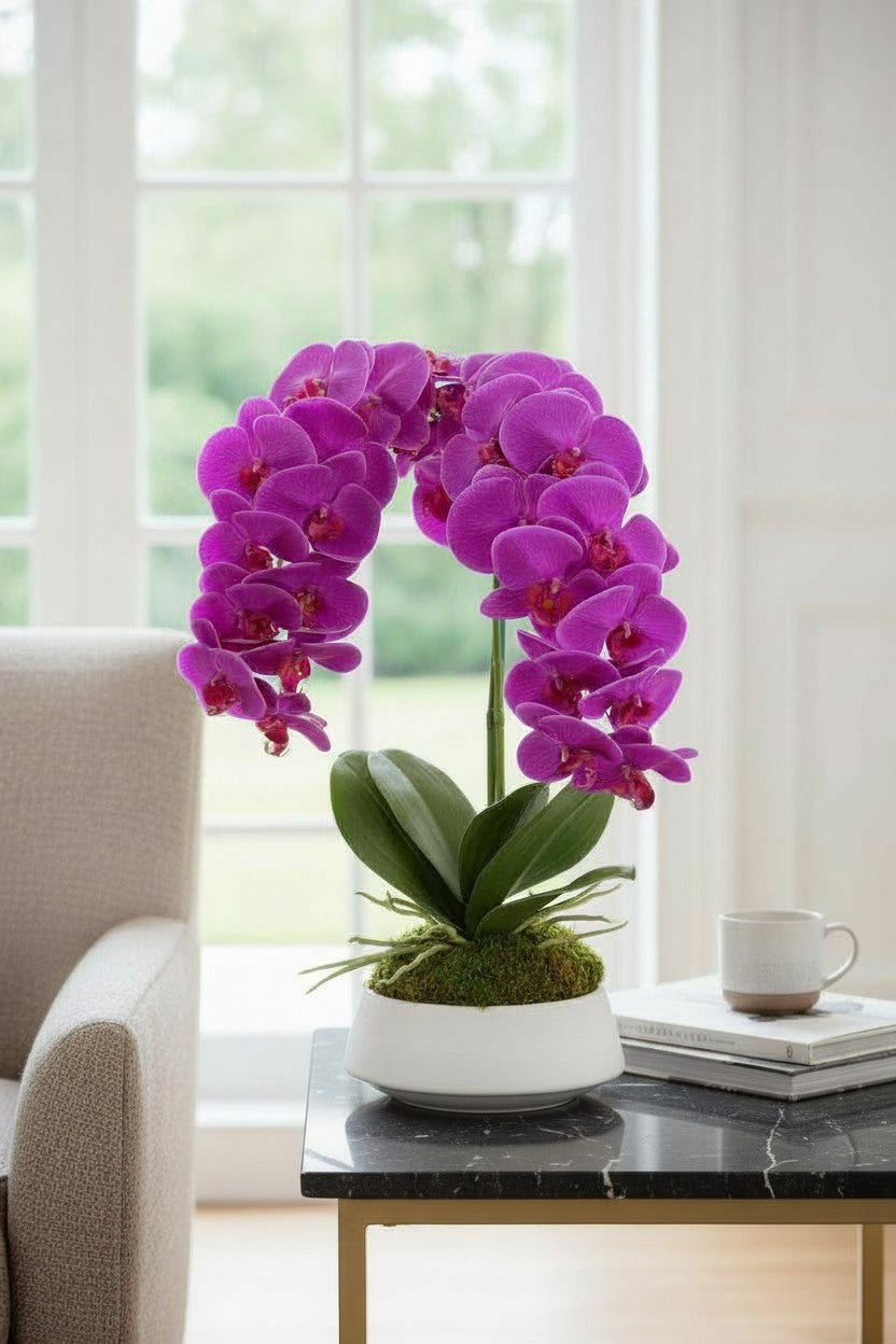 Orchid and Moss Centerpiece in Cement Bowl