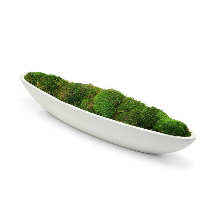 Preserved Moss in Concrete Boat Centerpiece