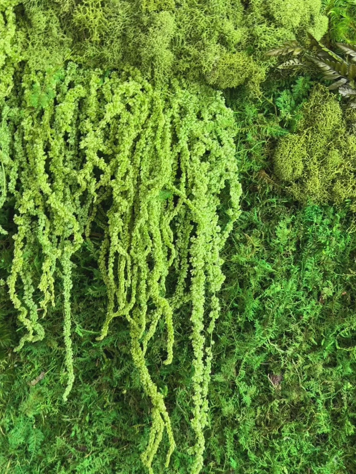 Moss Wall Art with Amaranthus