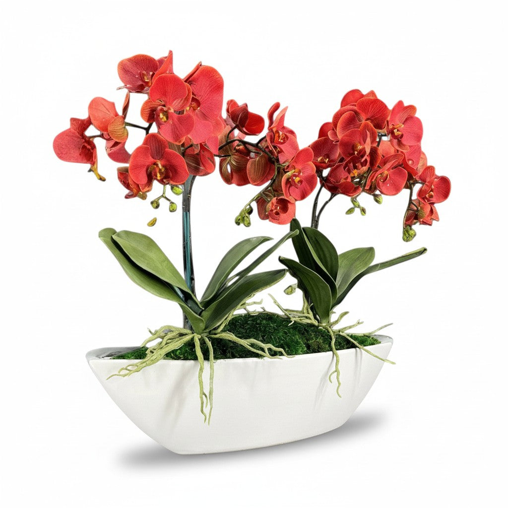 Orchid Centerpiece in Boat Bowl
