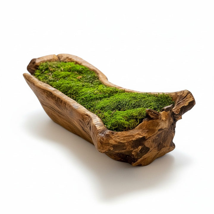 Carved Wooden Bowl Centerpiece with Lush Moss