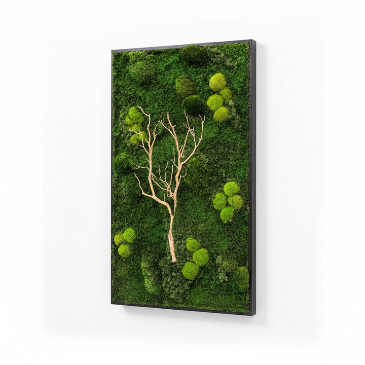 Preserved Pincushion Moss Wall Art