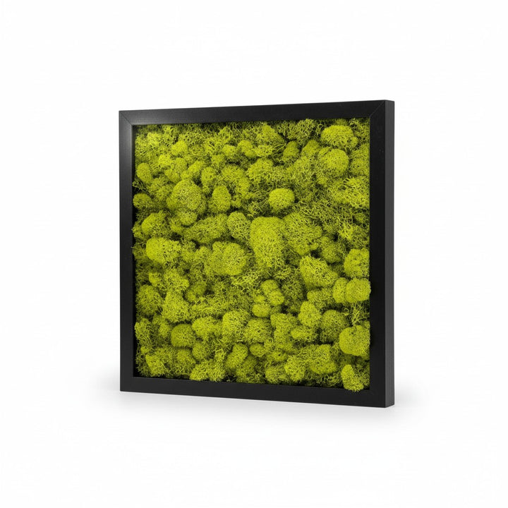 Square Moss Wall Art