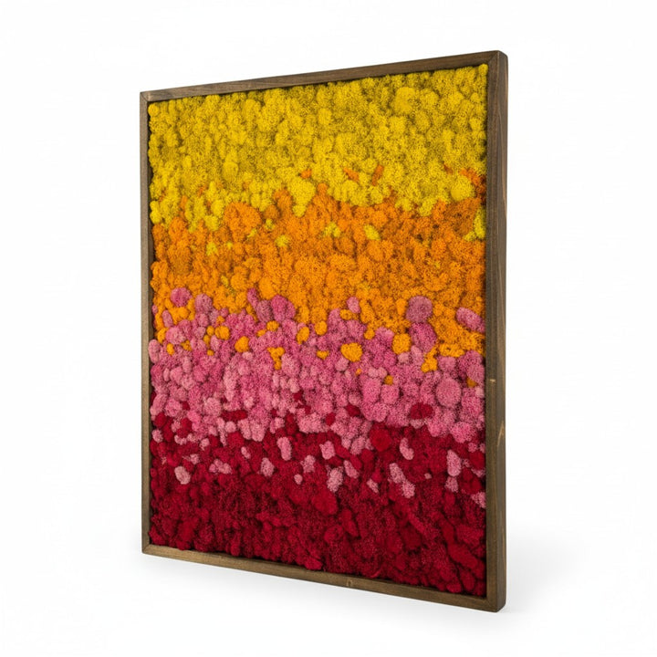 Sunset Gradient Preserved Moss Art