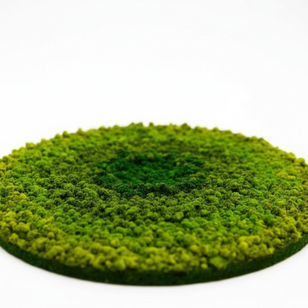 Ombre Circular Hanging Moss Wall Art