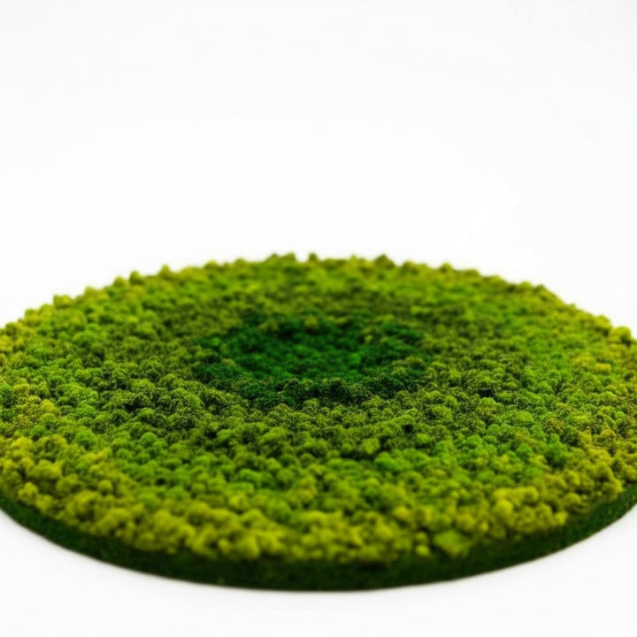 Ombre Circular Hanging Moss Wall Art
