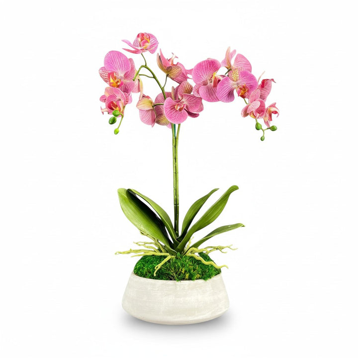 Orchid and Moss Centerpiece in Cement Bowl