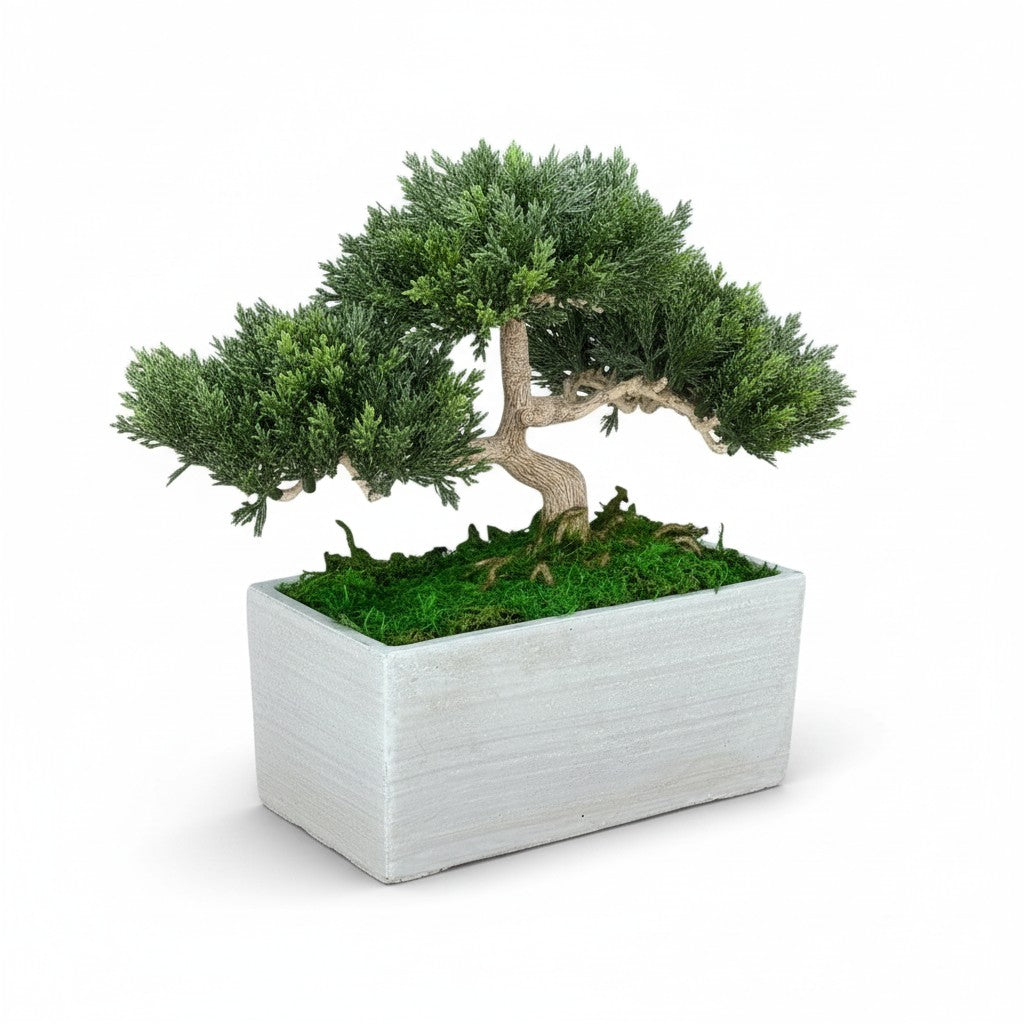 Faux Bonsai Tree in Concrete Planter with Preserved Moss