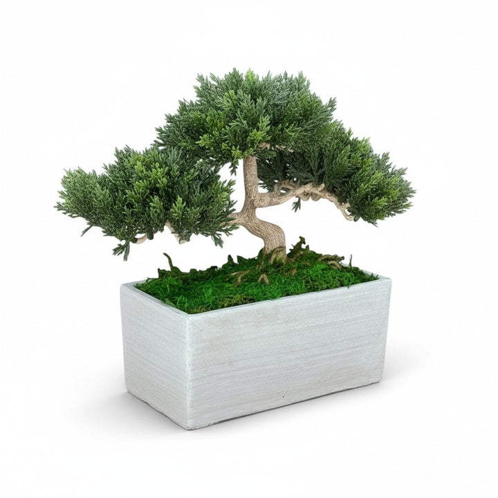 Faux Bonsai Tree in Concrete Planter with Preserved Moss