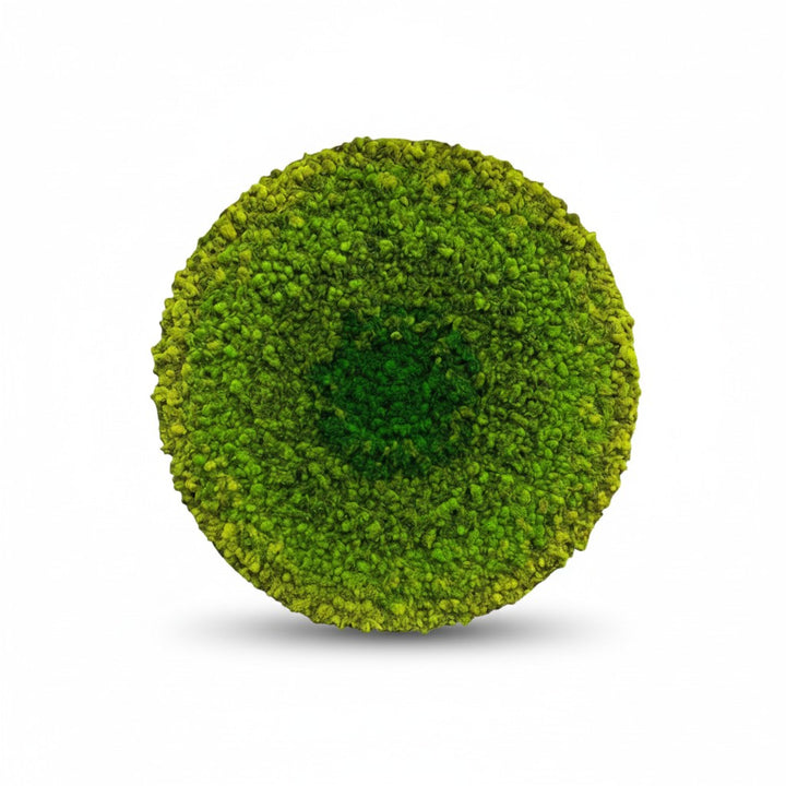 Ombre Circular Hanging Moss Wall Art