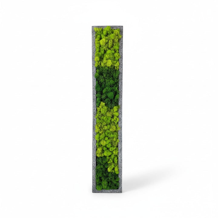 Framed Moss Wall Art Strips