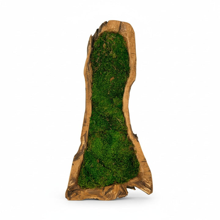 Carved Wooden Bowl Centerpiece with Lush Moss