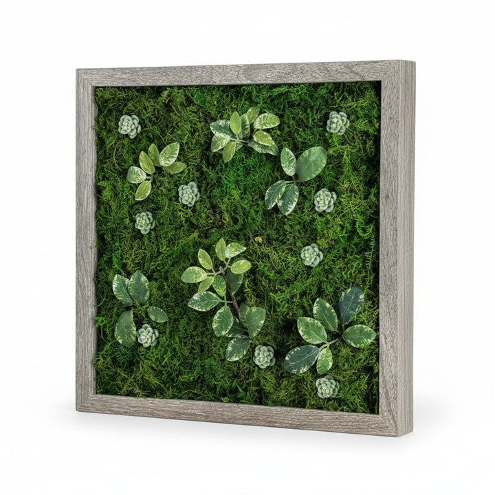 Preserved Moss Miniature Wall Art within Reach