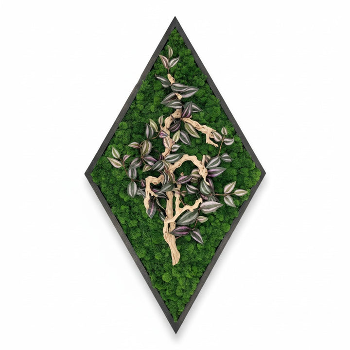 Framed Diamond Moss Wall Art