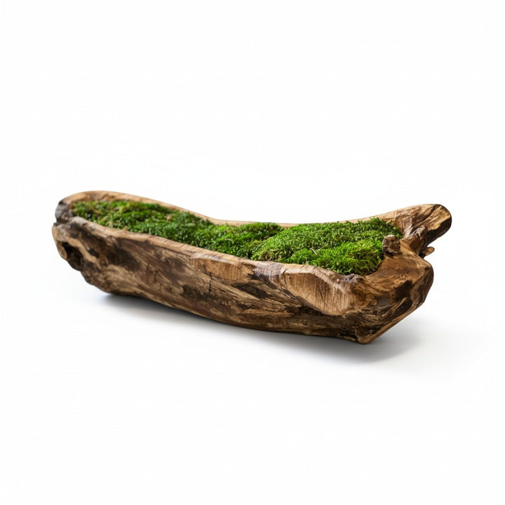 Carved Wooden Bowl Centerpiece with Lush Moss