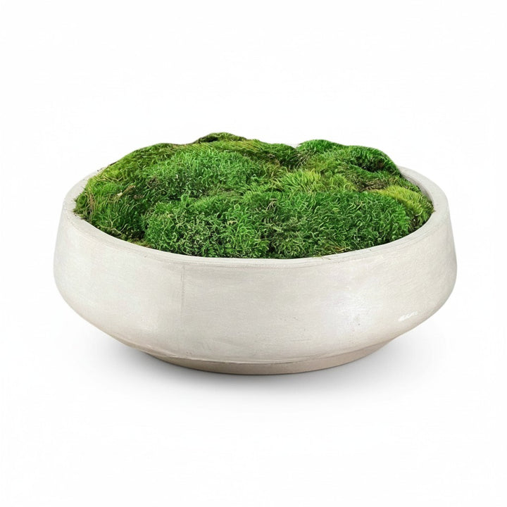 Preserved Moss in Large Round Concrete Bowl