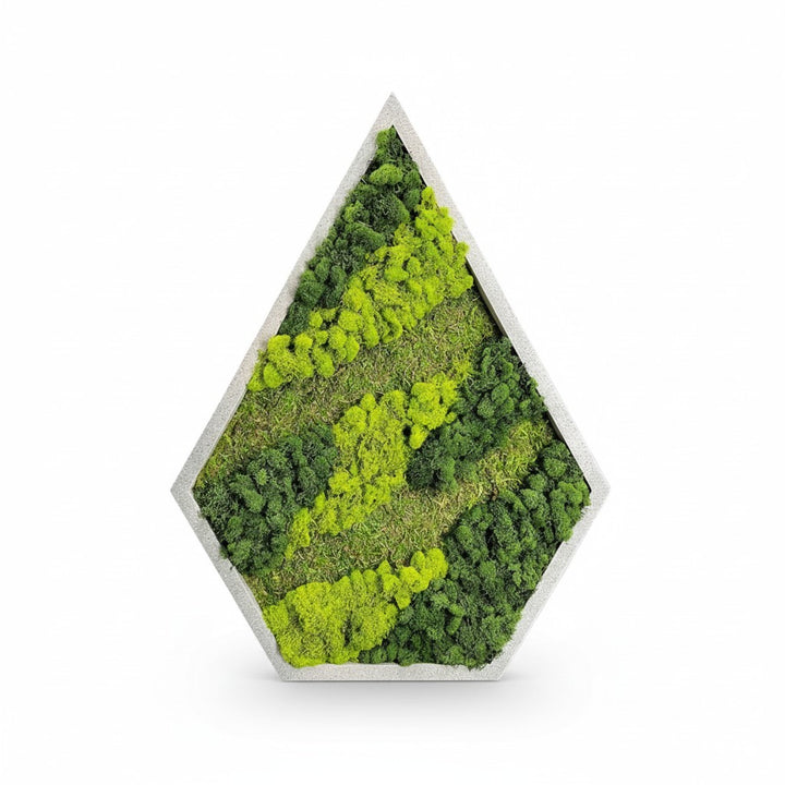 Teardrop Moss Wall Art