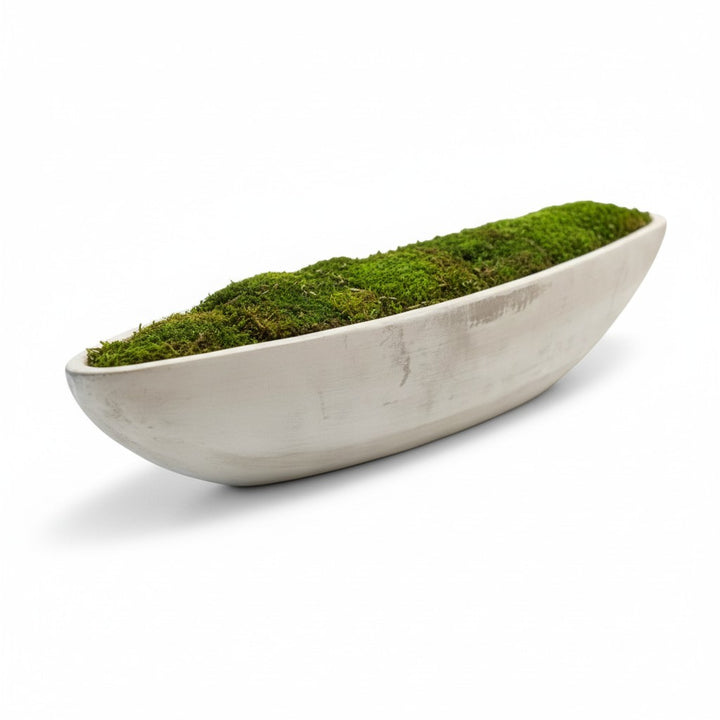 Preserved Moss in Concrete Boat Centerpiece