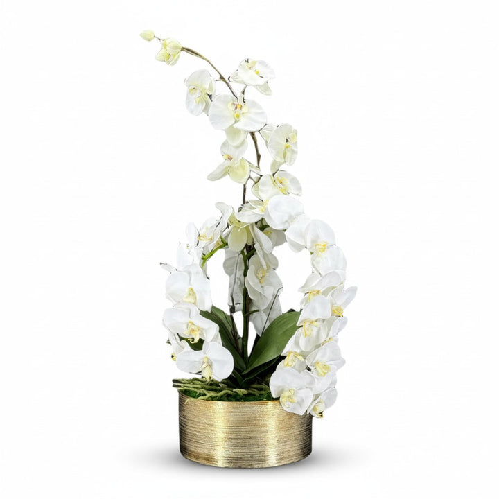 Orchid & Moss Arrangement in Silver Bowl