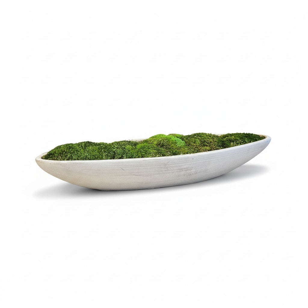 Preserved Moss in Concrete Boat Centerpiece