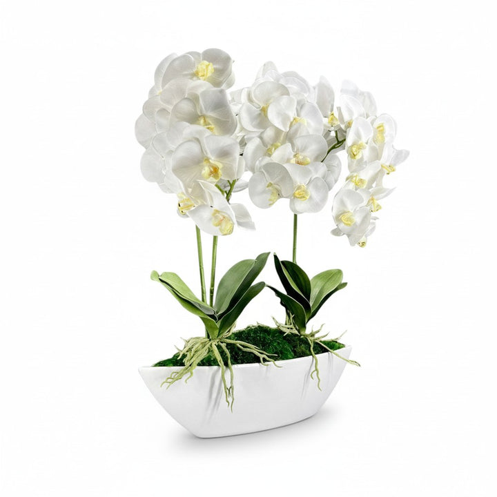 Orchid Centerpiece in Boat Bowl