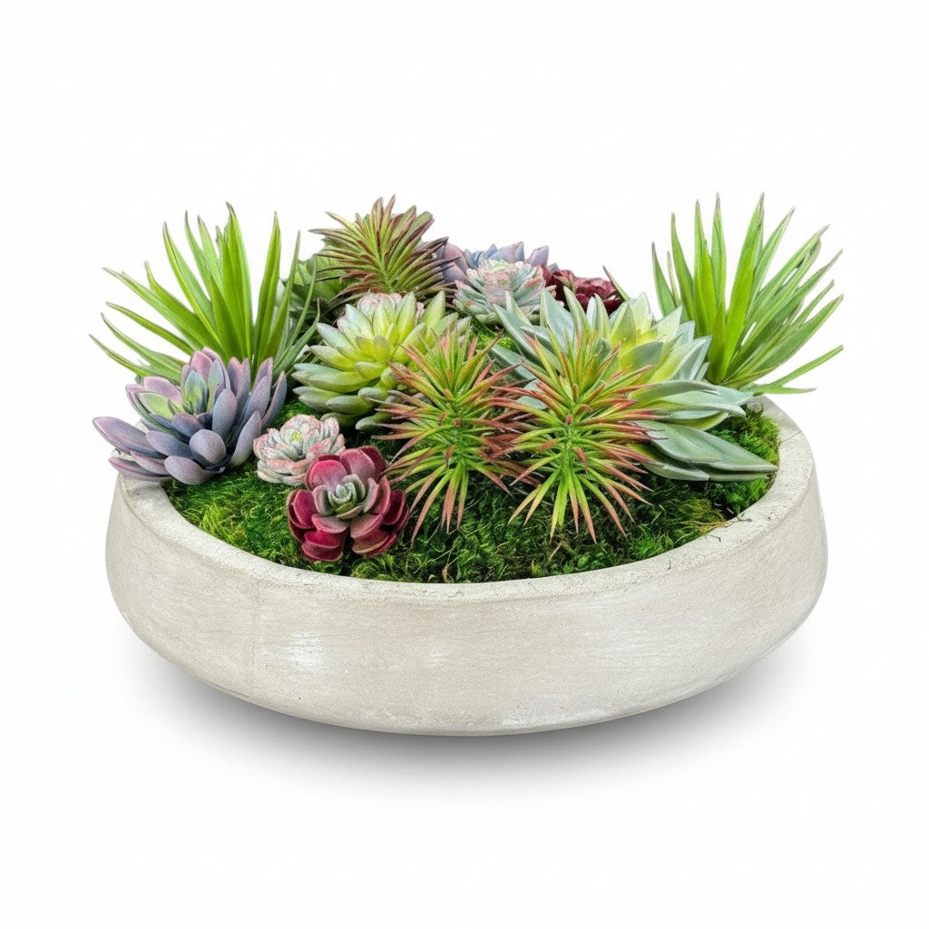 Preserved Moss in Large Round Concrete Bowl