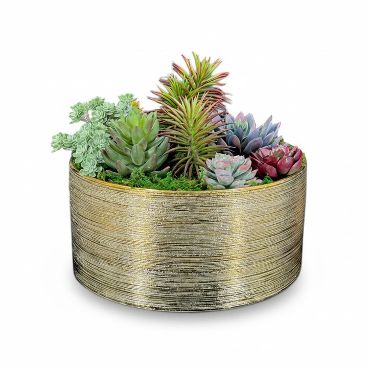 Faux Succulents in Etched Centerpiece Bowl