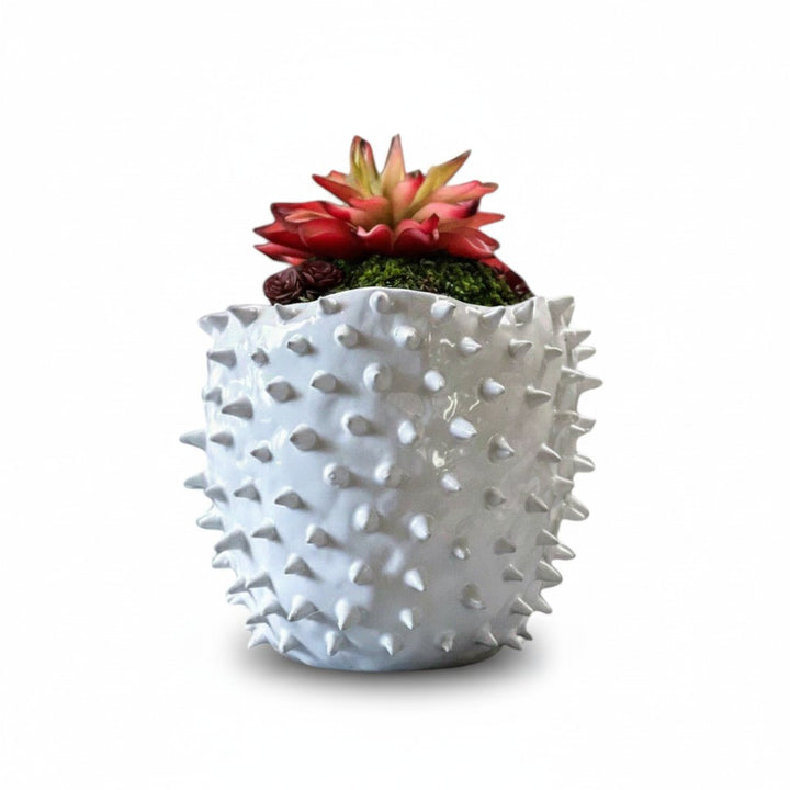 Spiked Pots with Succulents