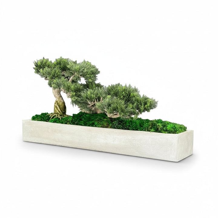 Faux Bonsai Tree in Concrete Planter with Preserved Moss