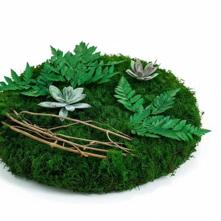 Enchanted Circular Moss Art