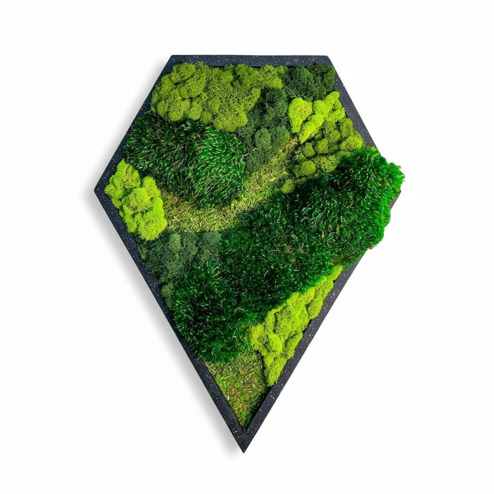 Cushion Moss Teardrop Wall Art
