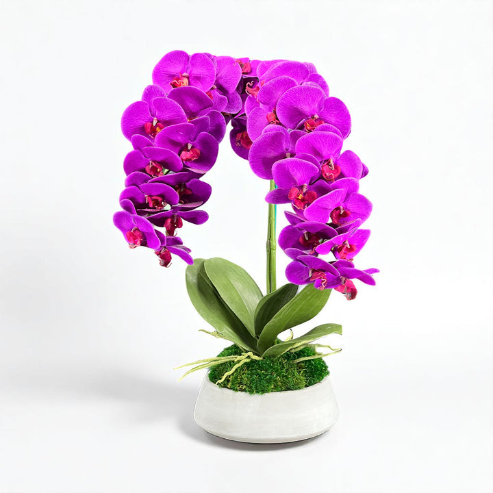 Orchid and Moss Centerpiece in Cement Bowl - MossFusion