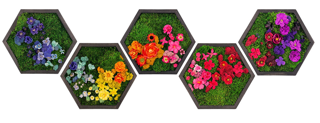 Colorful Framed Hexagon Moss Wall Art - MossFusion