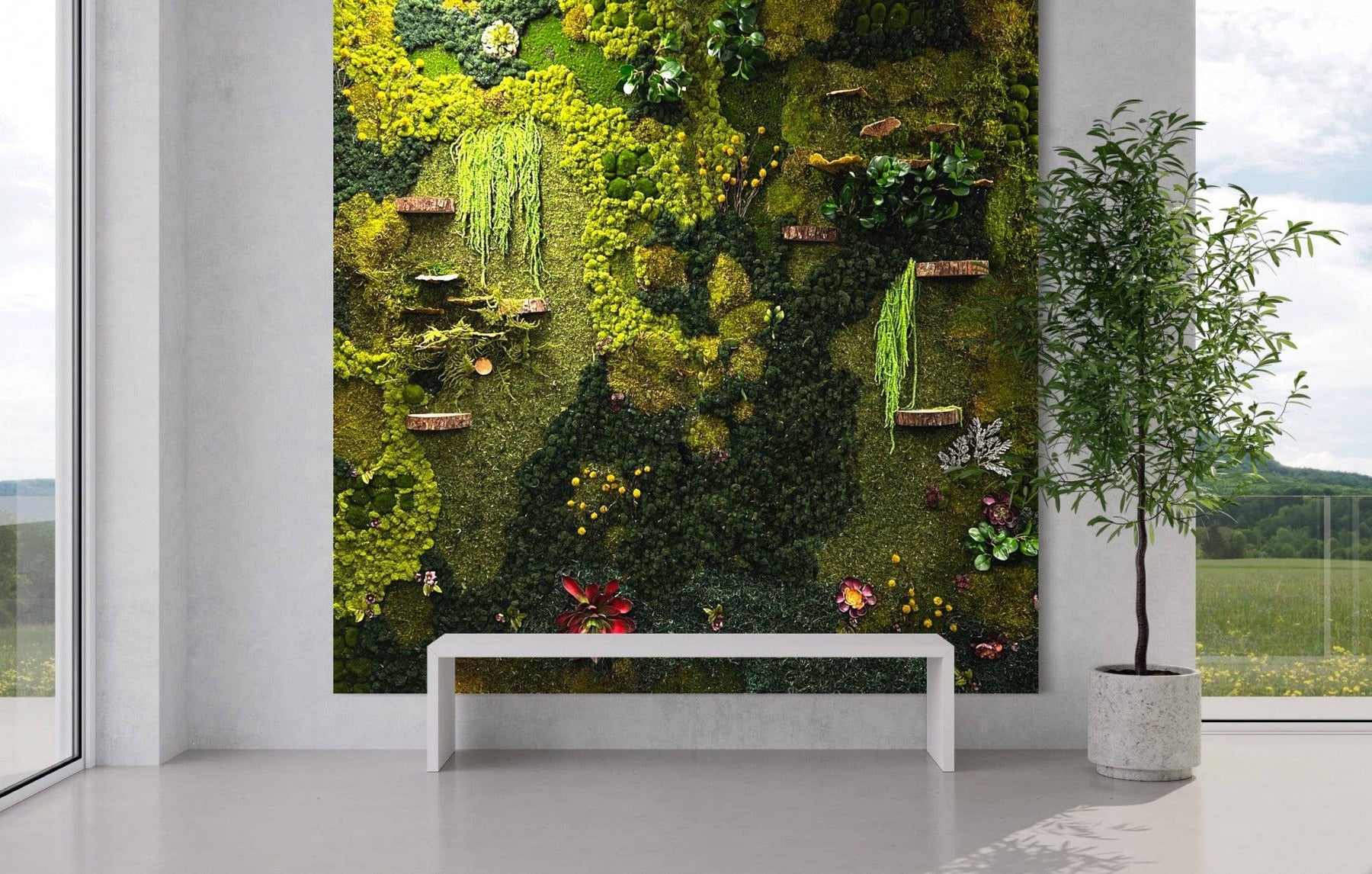 Ecosystem Moss Art Panels | Hand Crafted Moss Art Panels
