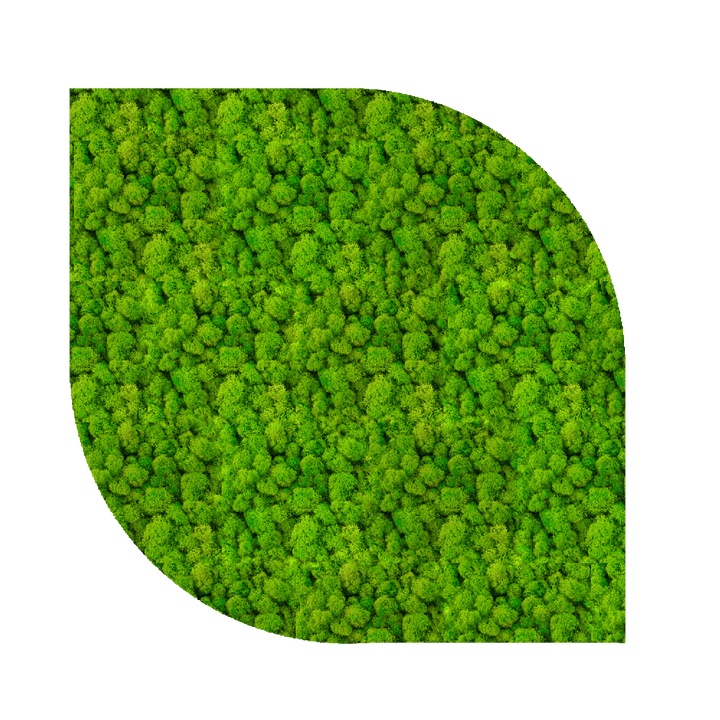Acoustic Sound Dampening Moss Panels - MossFusion