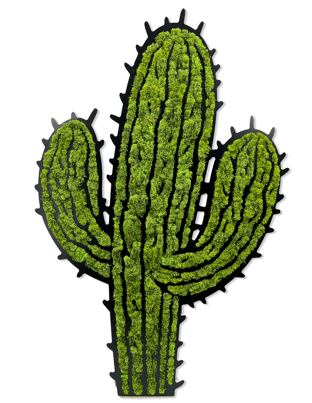 Cactus - MossFusion