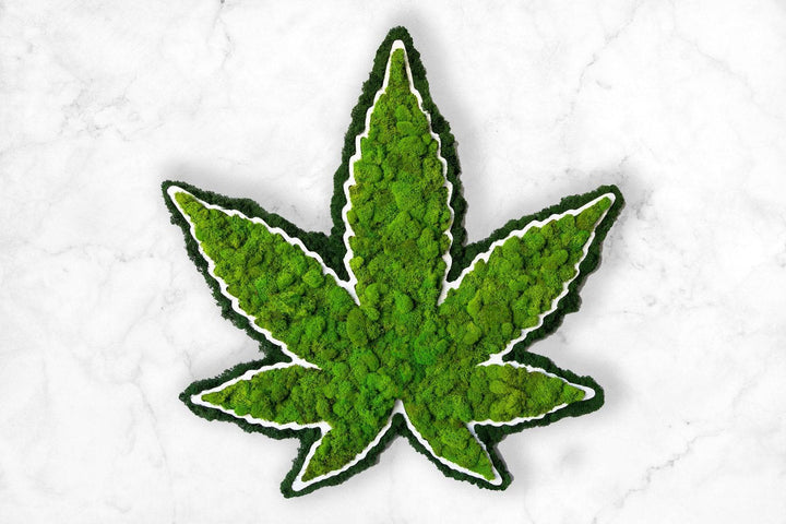 Cannabis Leaf Hanging Moss Wall Decor - MossFusion