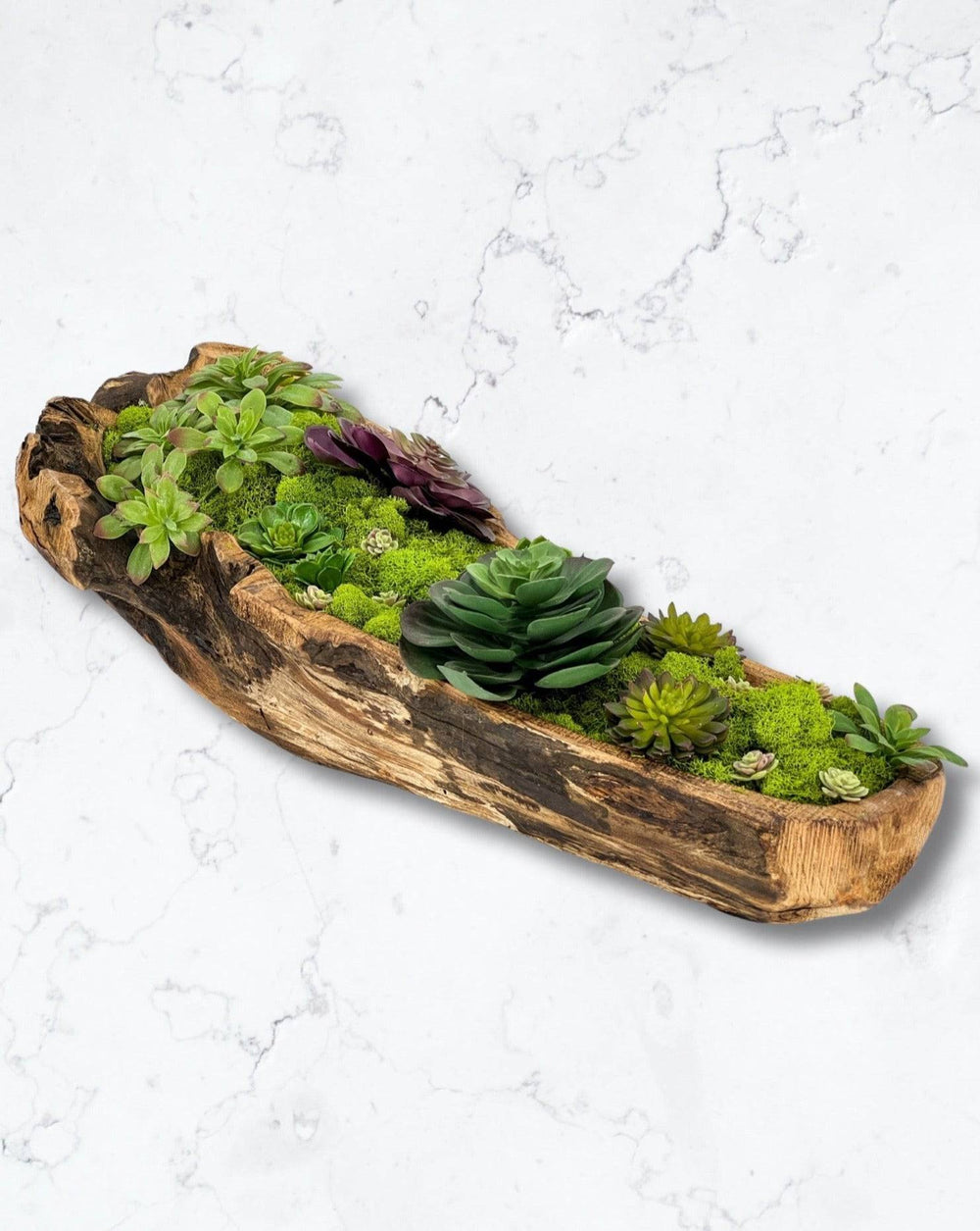 Carved Out Wooden Bowl with Mood Moss - MossFusion